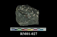 藏品(蓳青石粘板岩)的圖片